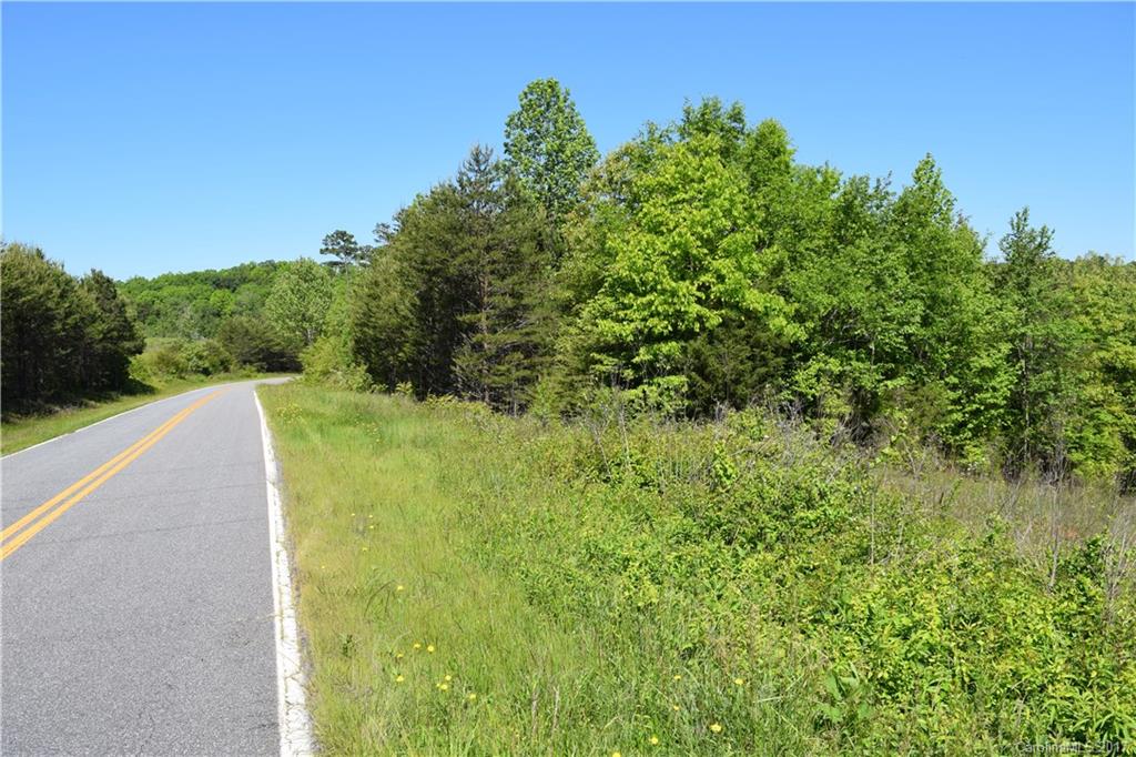 0 Walker Mill Road Bostic, NC 28018 - Photo 11 of 14 Gallery Image 11