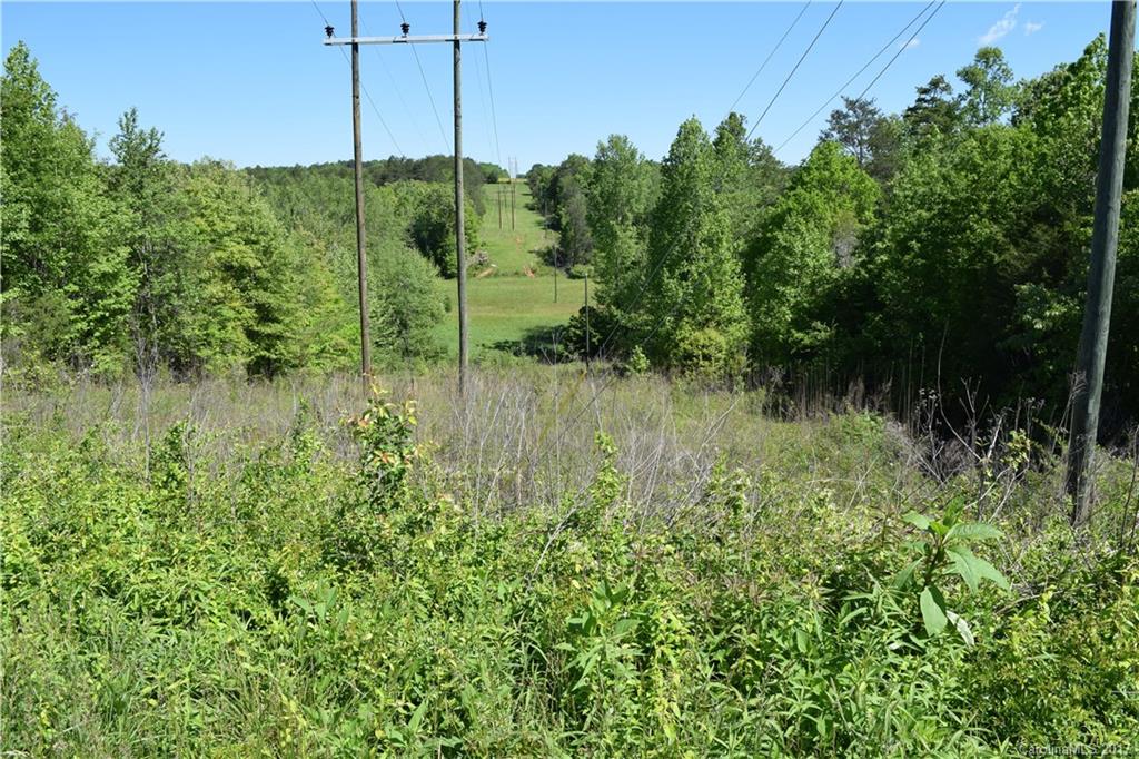 0 Walker Mill Road Bostic, NC 28018 - Photo 12 of 14 Gallery Image 12