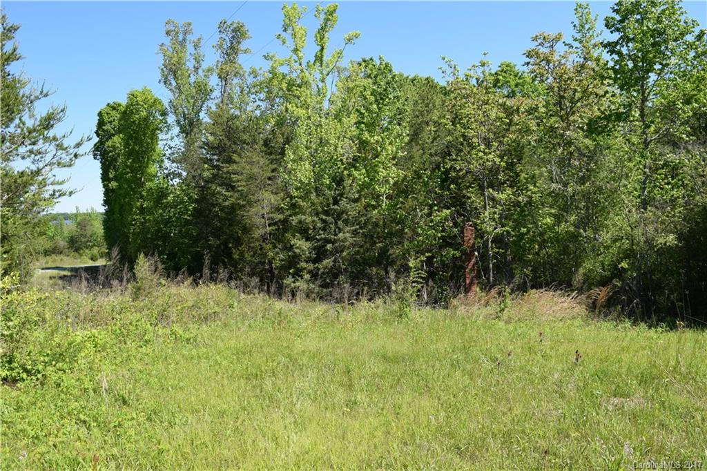 0 Walker Mill Road Bostic, NC 28018 - Photo 14 of 14 Gallery Image 14