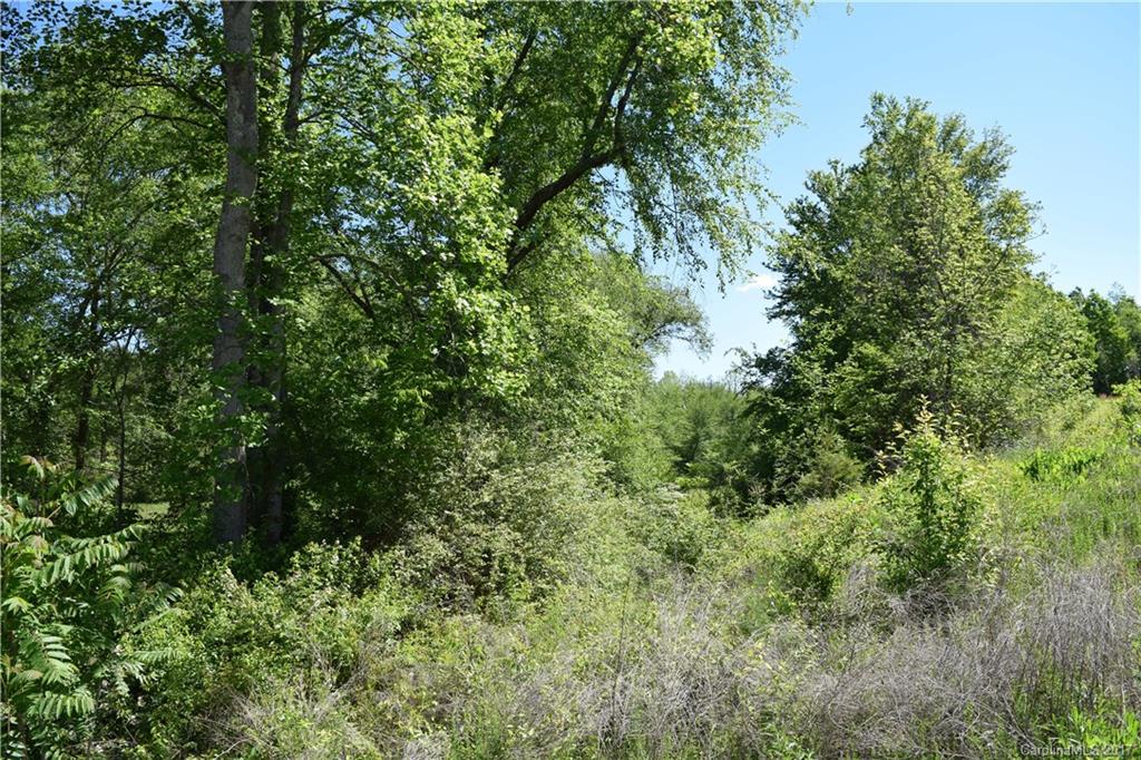 0 Walker Mill Road Bostic, NC 28018 - Photo 4 of 14 Gallery Image 4