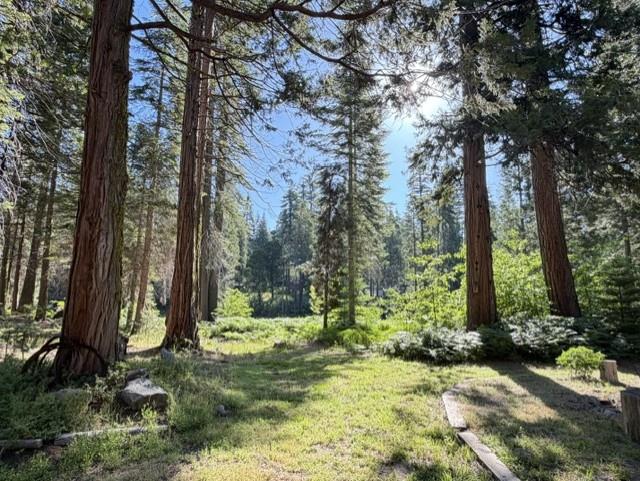 39112 Littlefield Road Shaver Lake, CA 93664 - Photo 52 of 53