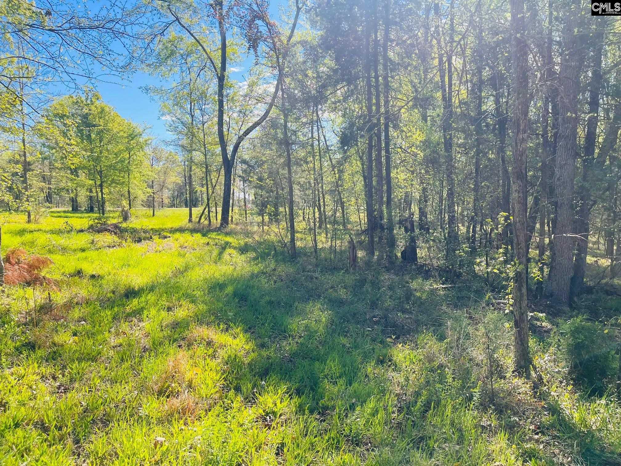 0 Lands End Lane Prosperity, SC 29127 - Photo 9 of 20