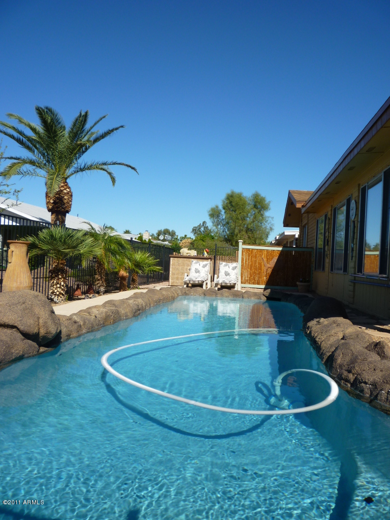 904 South Rochester Mesa, AZ 85206 - Photo 18 of 18 Pool long view