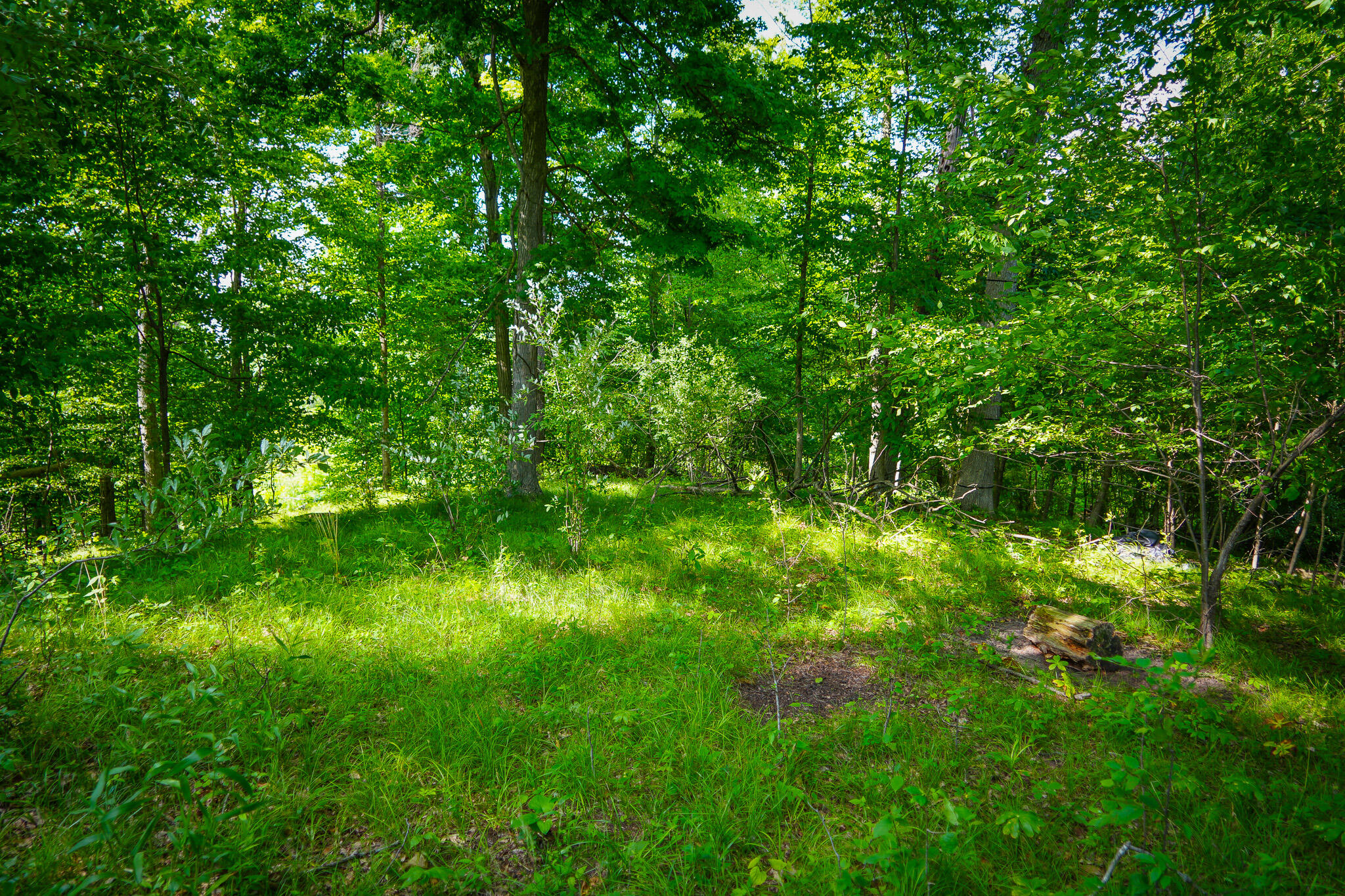 5100 Long Lake Road Reading, MI 49274 - Photo 50 of 63 DSC00701