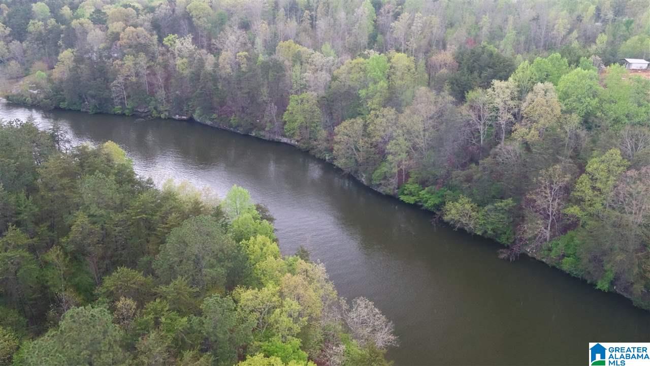 0 Dime Road, Unit 1 20 Haleyville, AL 35565 - Photo 9 of 14