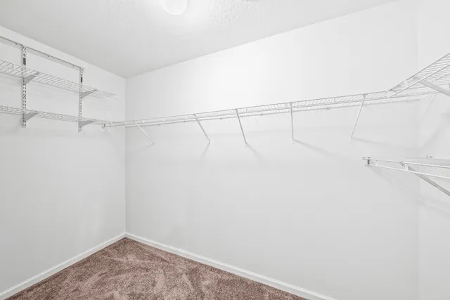 a view of a big room with closet and windows