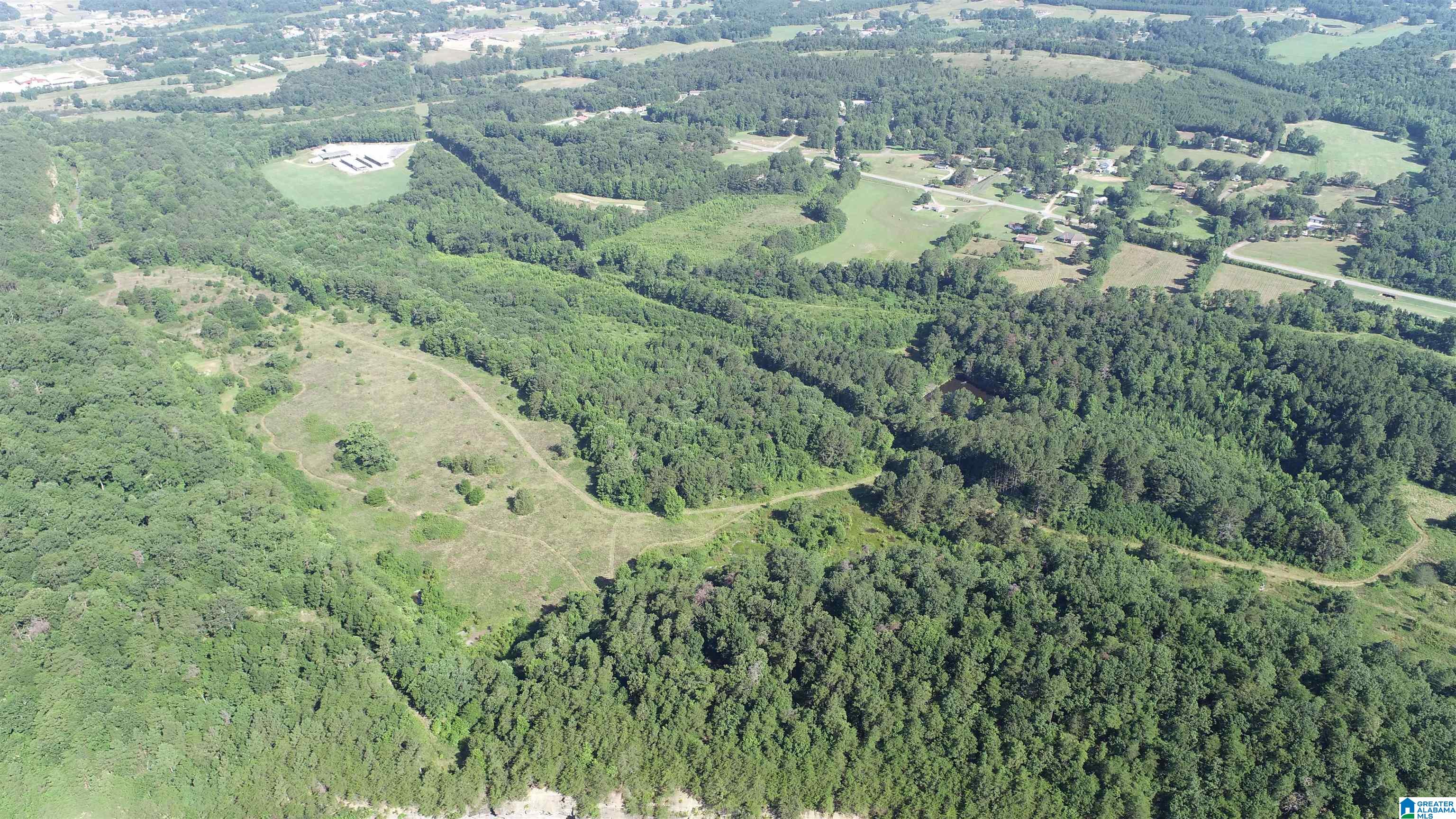 0 Highway 231, Unit 88 / AC Cleveland, AL 35049 - Photo 5 of 20
