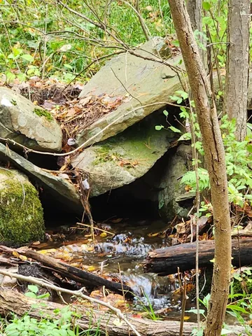 a view of a lake with a yard