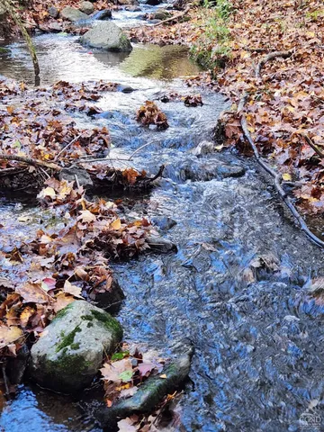 a view of a city with lush green forest