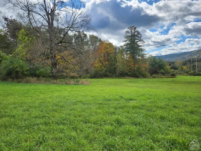 a view of a big yard with plants and large trees