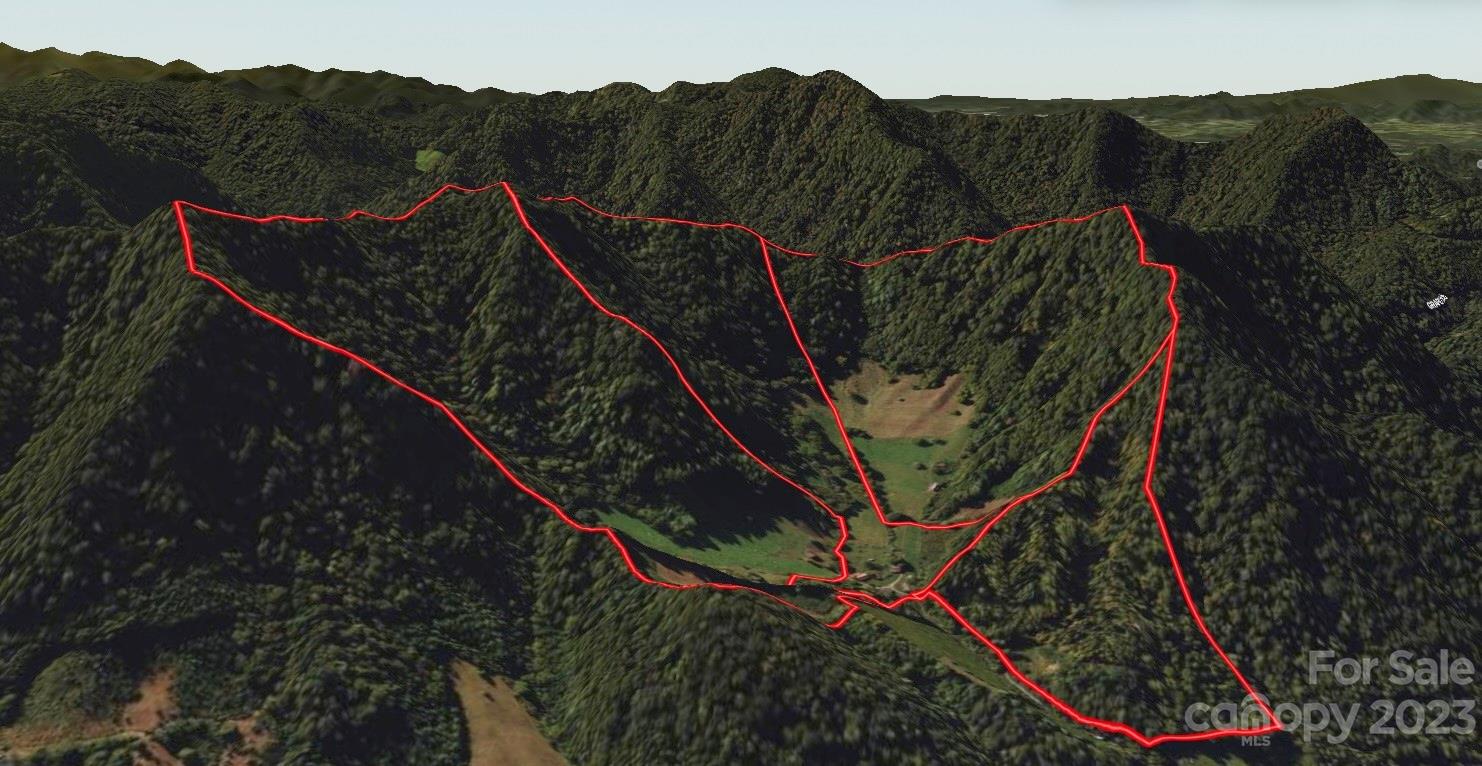 305 Pound Mill Road Marshall, NC 28753 - Photo 3 of 48