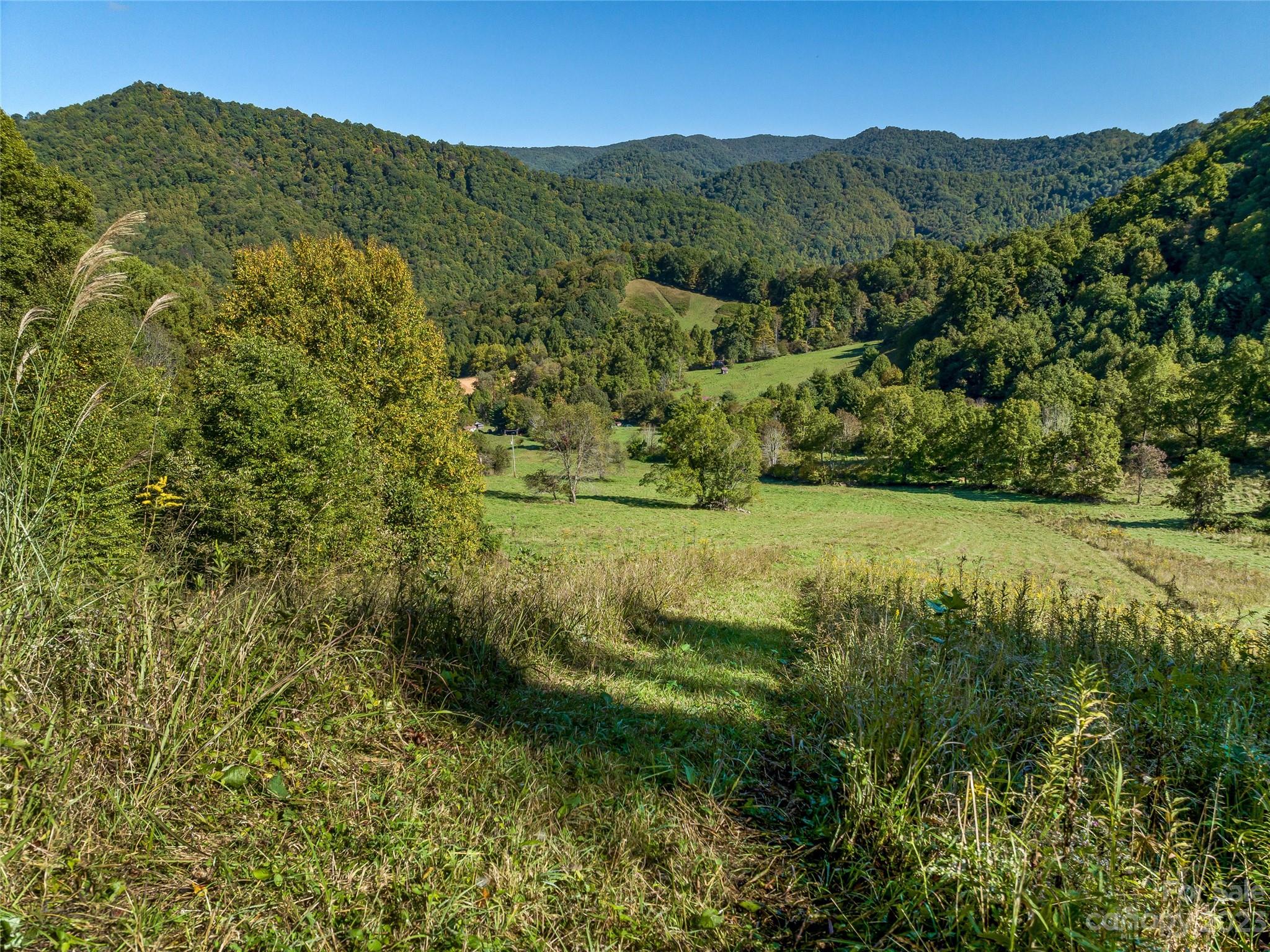 305 Pound Mill Road Marshall, NC 28753 - Photo 32 of 48