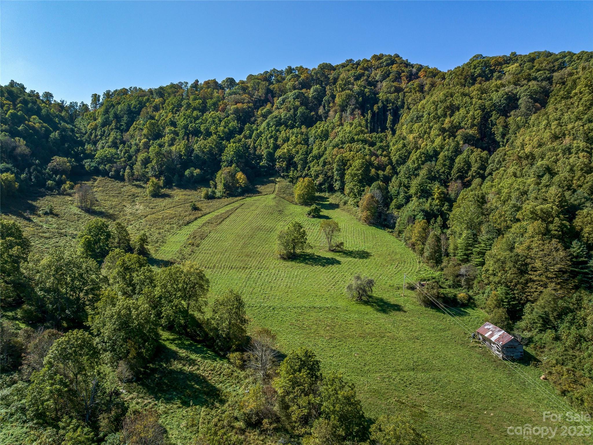 305 Pound Mill Road Marshall, NC 28753 - Photo 33 of 48 a view of a big yard with large trees