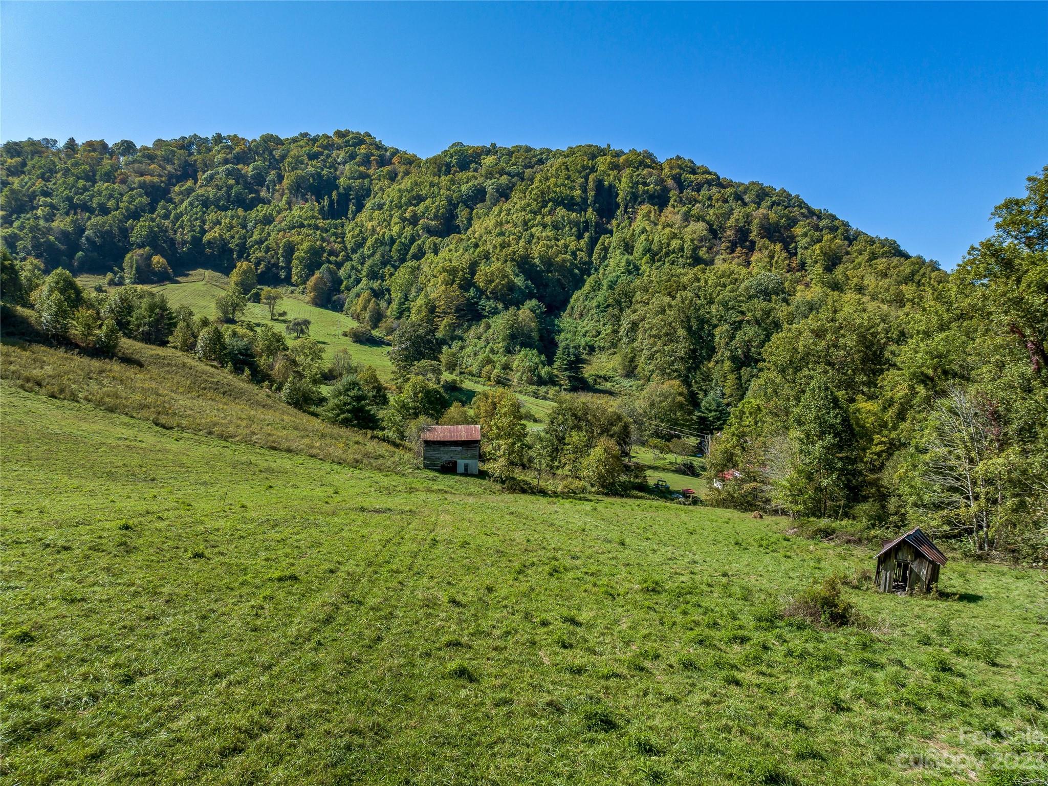 305 Pound Mill Road Marshall, NC 28753 - Photo 37 of 48 a view of a green field with lots of bushes