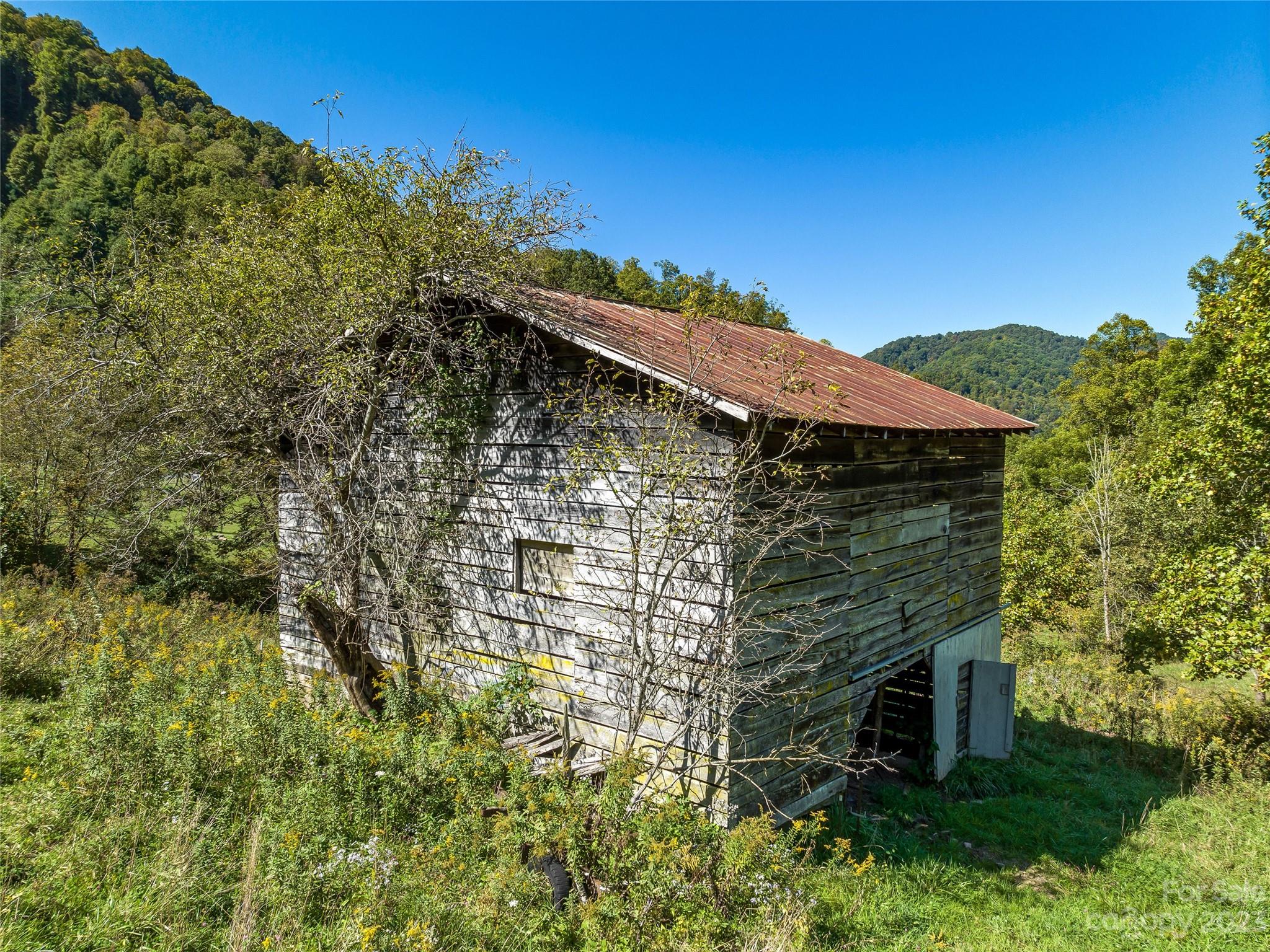 305 Pound Mill Road Marshall, NC 28753 - Photo 38 of 48 a view of a house with a tree