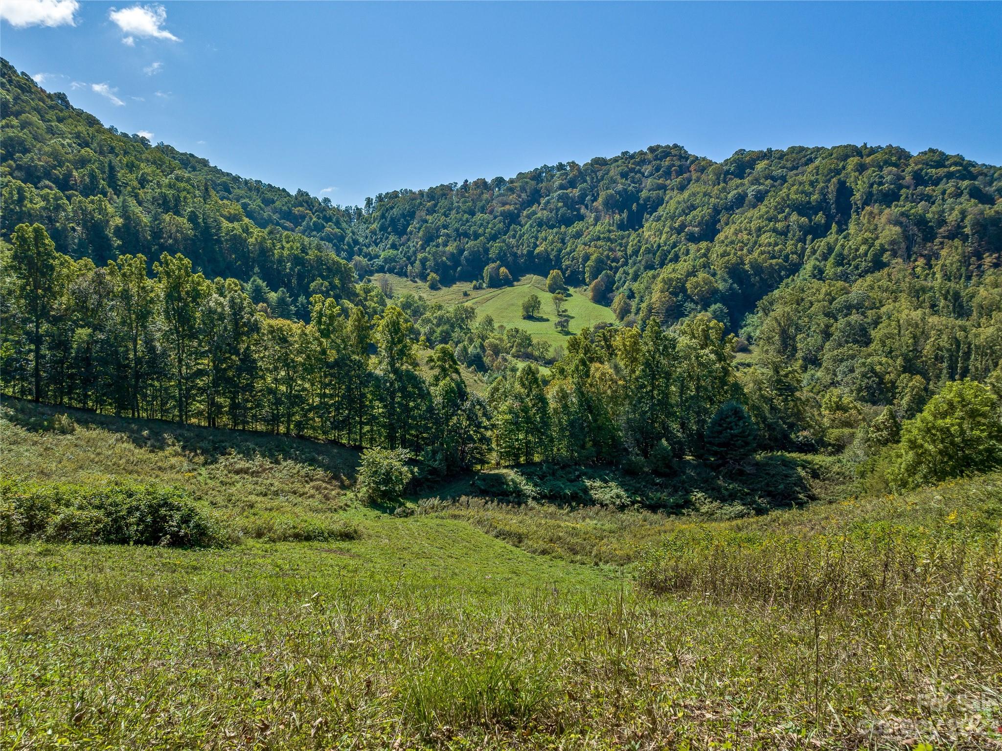 305 Pound Mill Road Marshall, NC 28753 - Photo 41 of 48