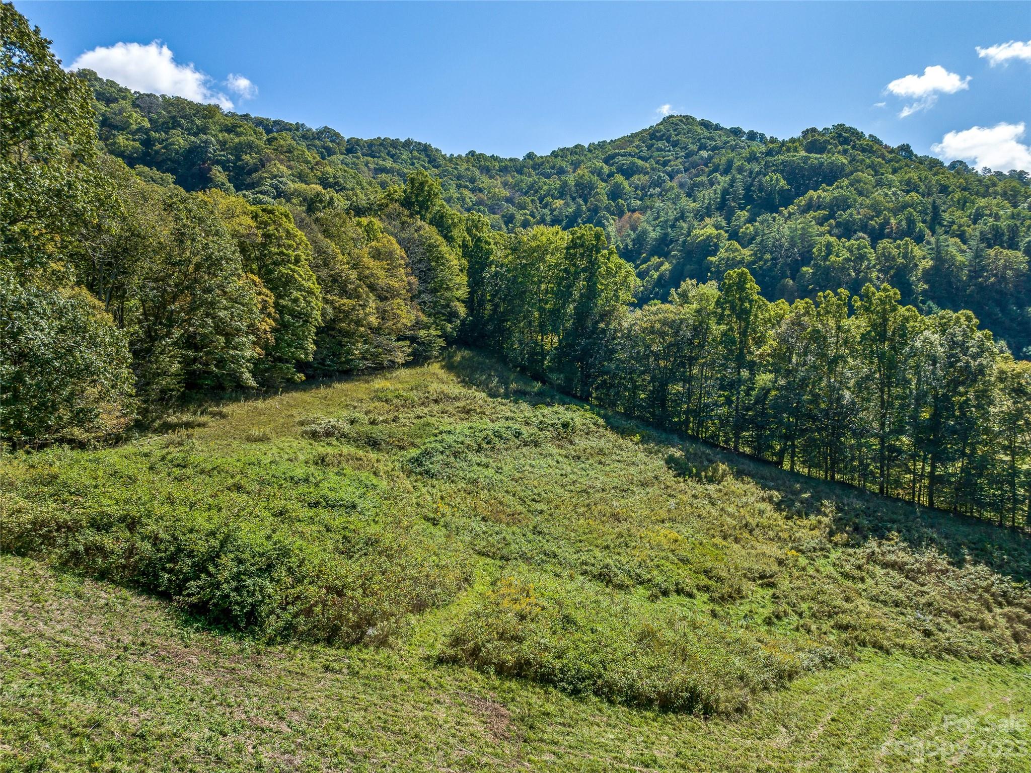 305 Pound Mill Road Marshall, NC 28753 - Photo 42 of 48 a view of a green field