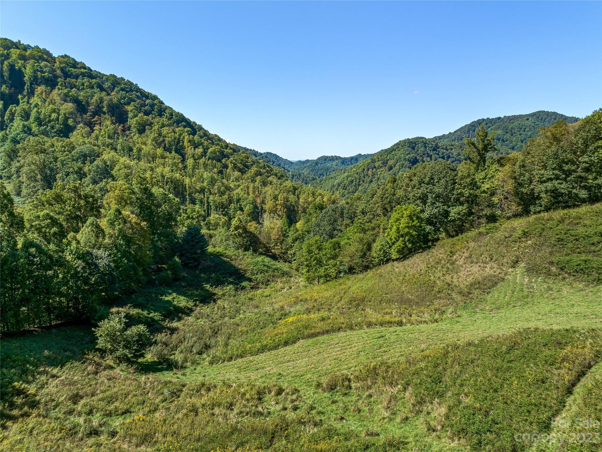 305 Pound Mill Road Marshall, NC 28753 - Photo 43 of 48 a view of a green field with lots of bushes