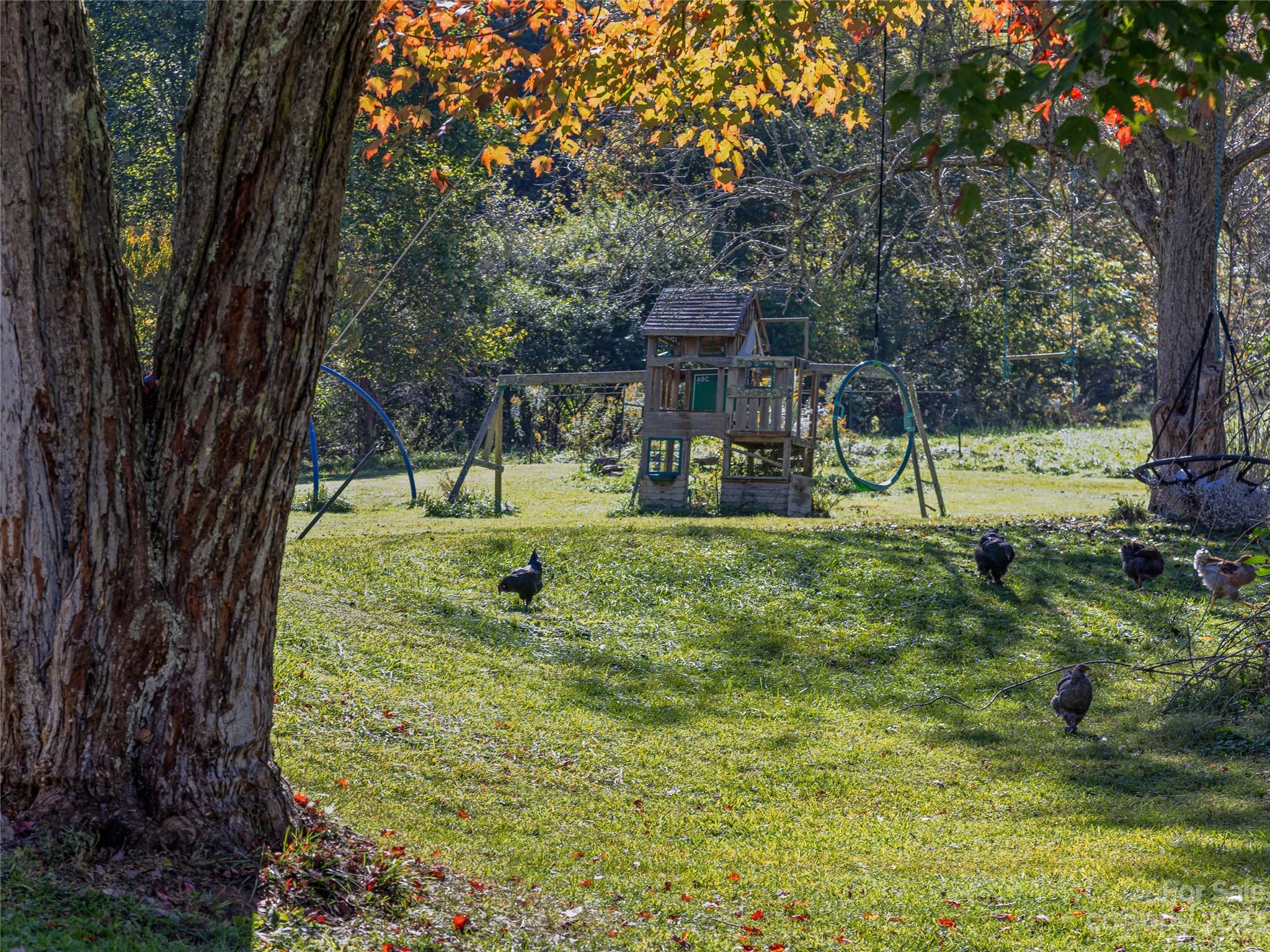 305 Pound Mill Road Marshall, NC 28753 - Photo 44 of 48 a view of a house with a yard