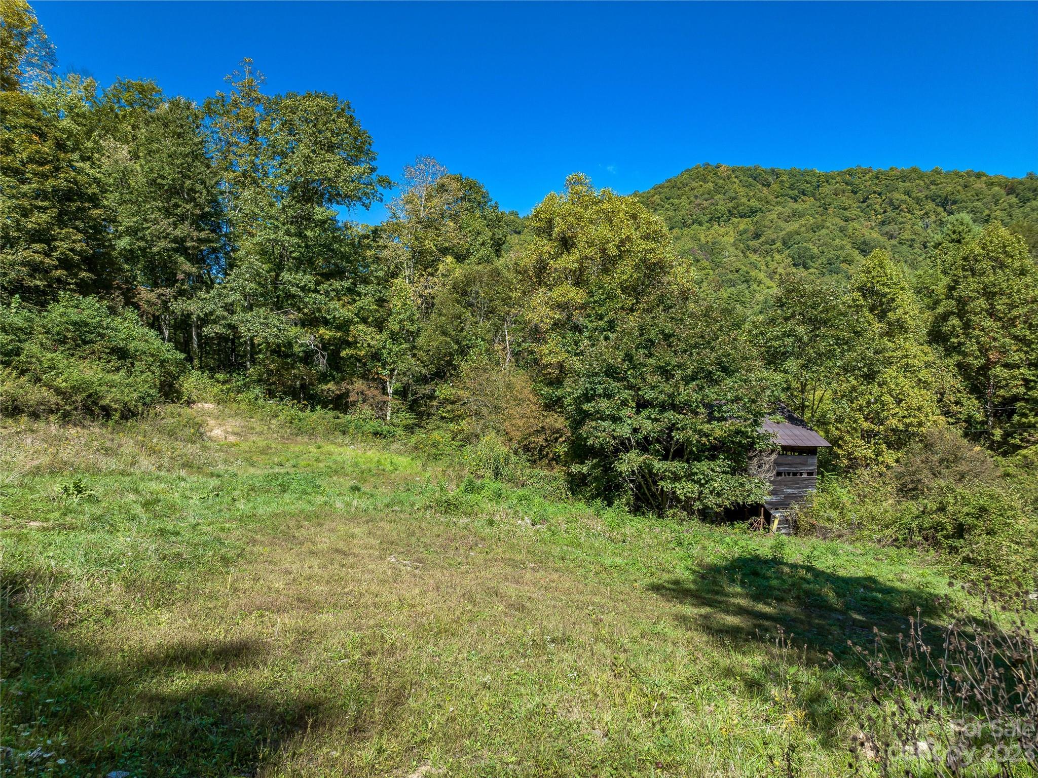 305 Pound Mill Road Marshall, NC 28753 - Photo 45 of 48 a view of a big yard with large trees