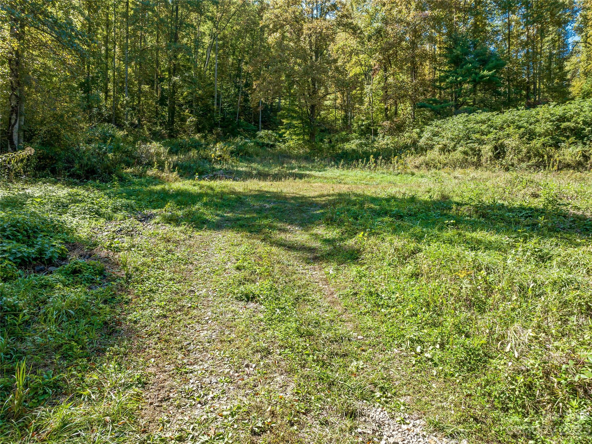 305 Pound Mill Road Marshall, NC 28753 - Photo 46 of 48 a view of a green field
