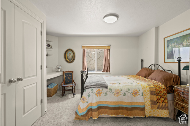 135 Cove Drive Elk Ridge, UT 84651 - Photo 32 of 45 Basement Bedroom