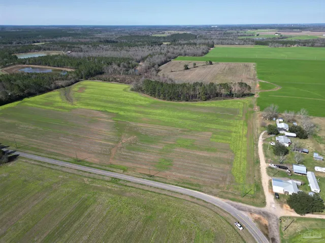 a view of a lake from a yard