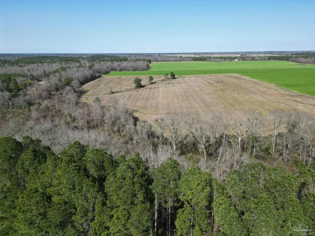 a view of a field with a field