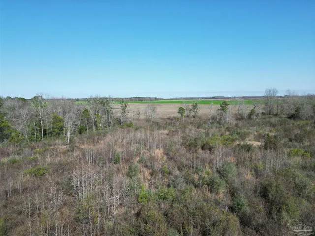a view of a dry yard with wooden fence