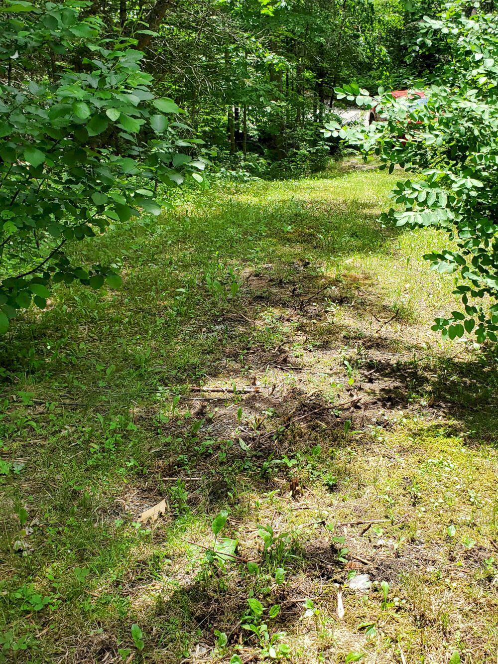 241 W Road Solon, ME 04979 - Photo 28 of 53 20220622_122442