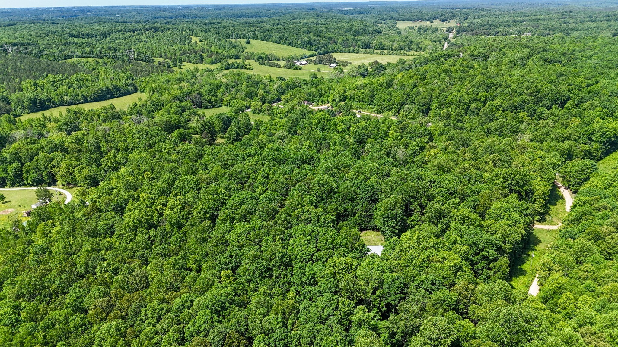 29 Myers Road Summertown, TN 38483 - Photo 43 of 44