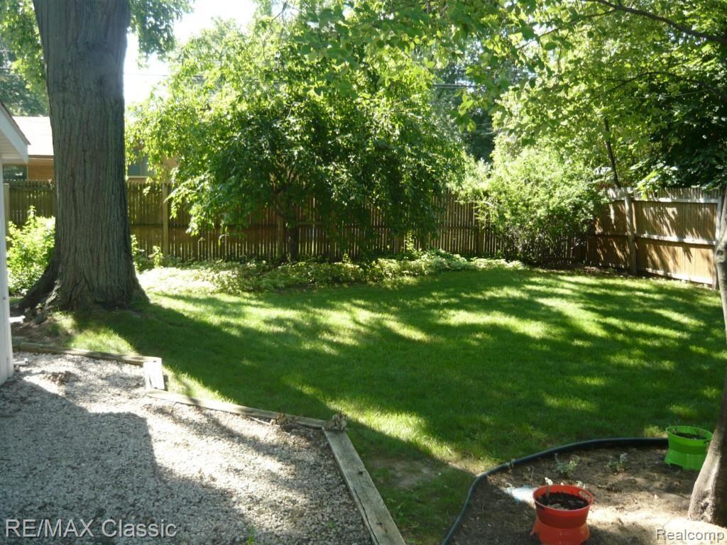 rear yard 2.jpg