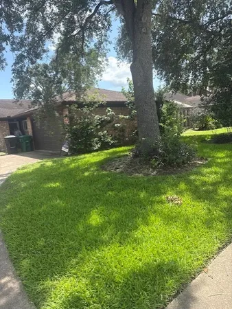 a view of a trees with a yard