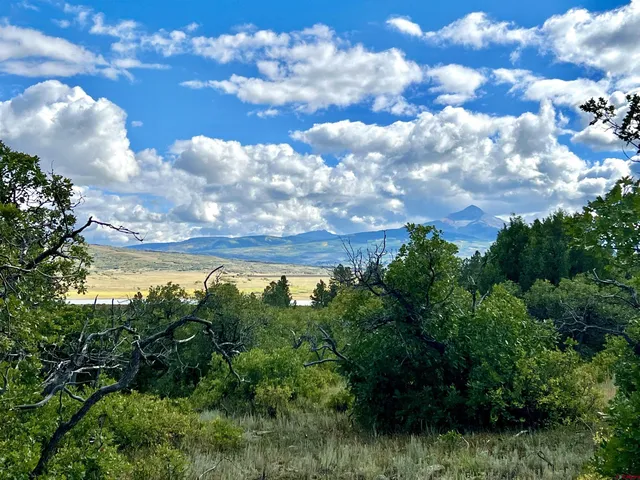 $205,000 | Lot 28 North Gurley Lake Drive, Norwood, CO 81423