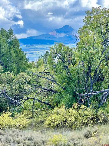 $205,000 | Lot 28 North Gurley Lake Drive, Norwood, CO 81423