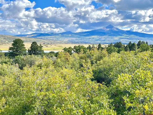 $205,000 | Lot 28 North Gurley Lake Drive, Norwood, CO 81423