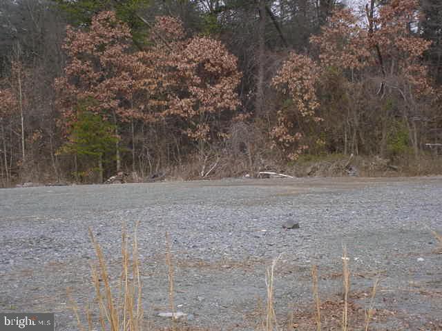1 Rock Hill Road Sterling, VA 20166 - Photo 10 of 11 a view of a yard with trees