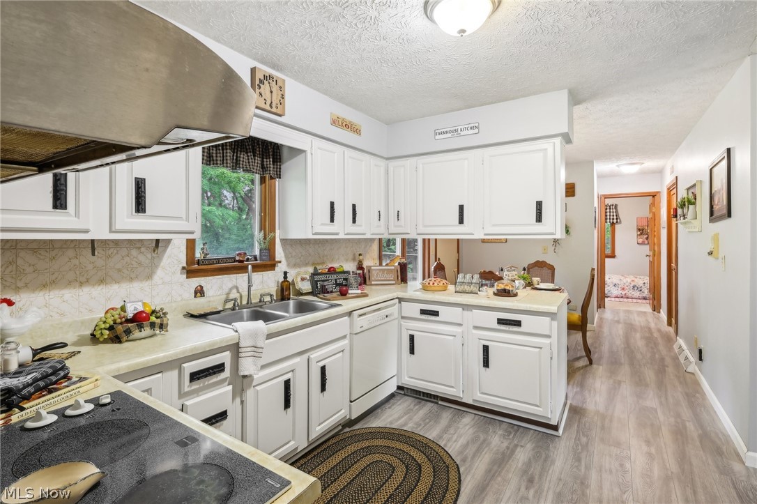 2919 South Ridge Road East Ashtabula, OH 44004 - Photo 11 of 50 Kitchen featuring white cabinetry, light hardwood / wood-style flooring, white dishwasher, island exhaust hood, and decorative backsplash