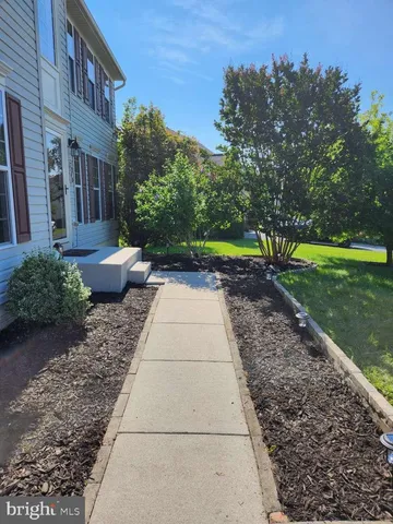 a view of a yard with plants and a tree
