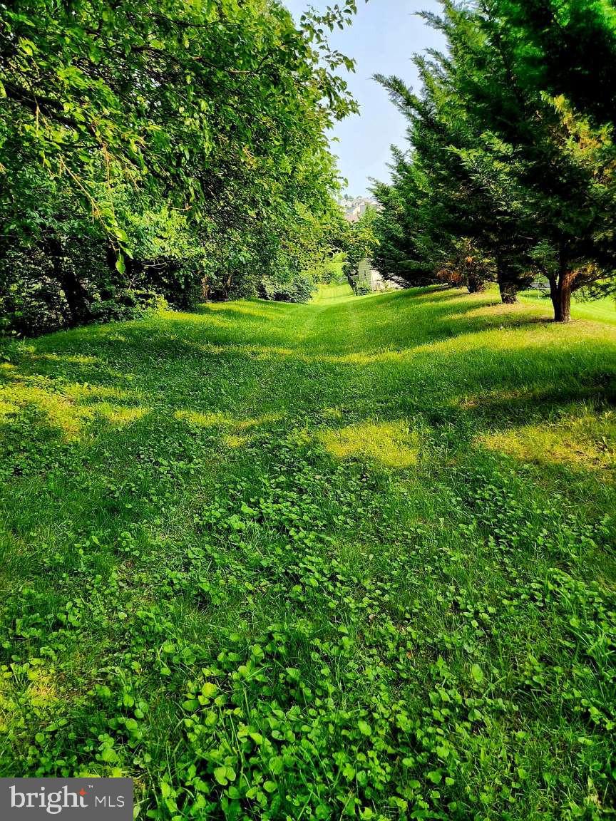 2040 Waterfall Drive Hanover, PA 17331 - Photo 19 of 25 a view of a grassy field with trees