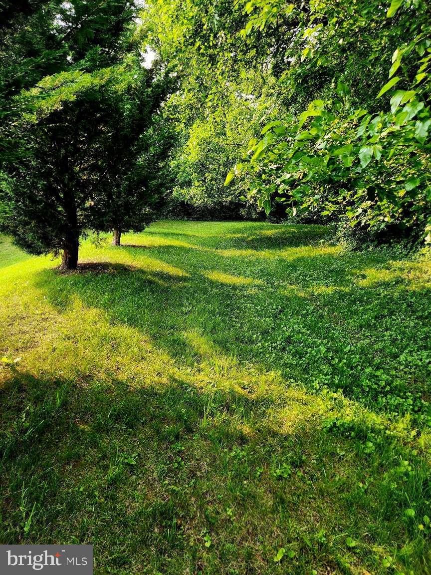 2040 Waterfall Drive Hanover, PA 17331 - Photo 20 of 25 a view of a trees in a yard