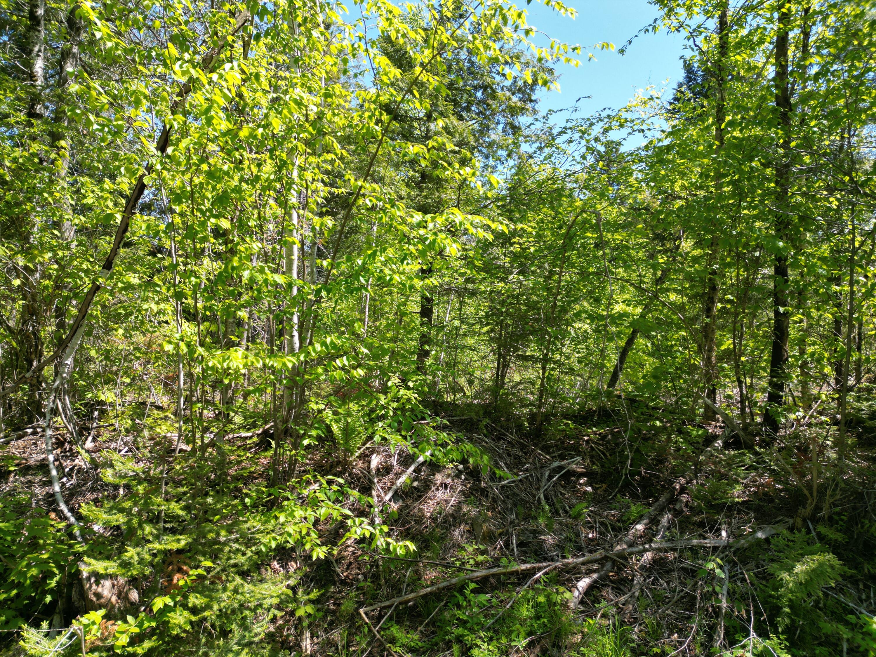 Lot 7 West Road Belgrade, ME 04917 - Photo 5 of 15 DJI_0044