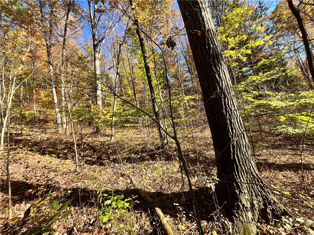 34 State Route Lockwood, NY 14859 - Photo 11 of 43