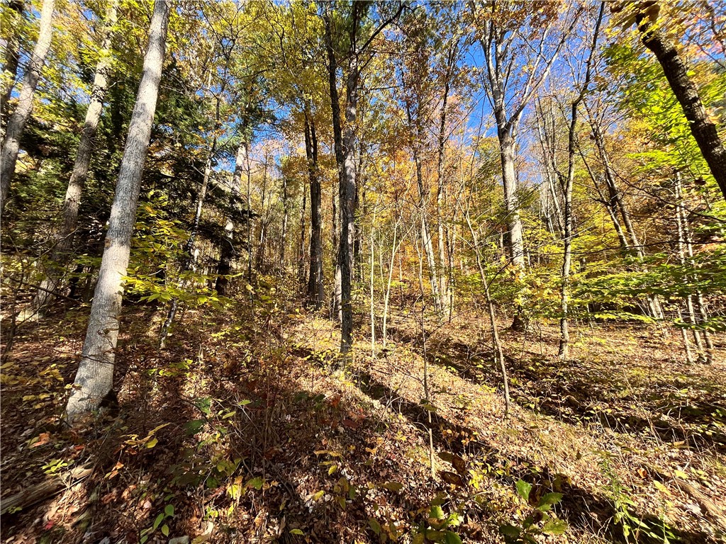 34 State Route Lockwood, NY 14859 - Photo 12 of 43