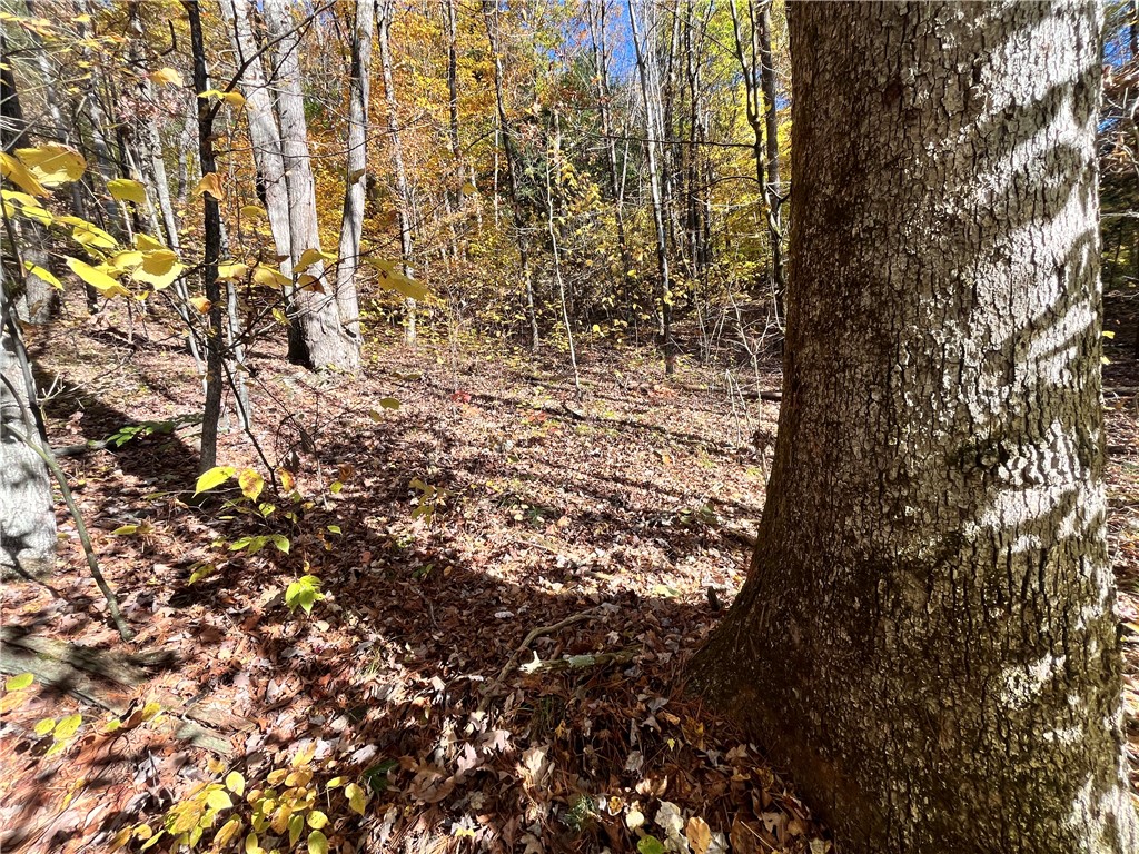 34 State Route Lockwood, NY 14859 - Photo 13 of 43