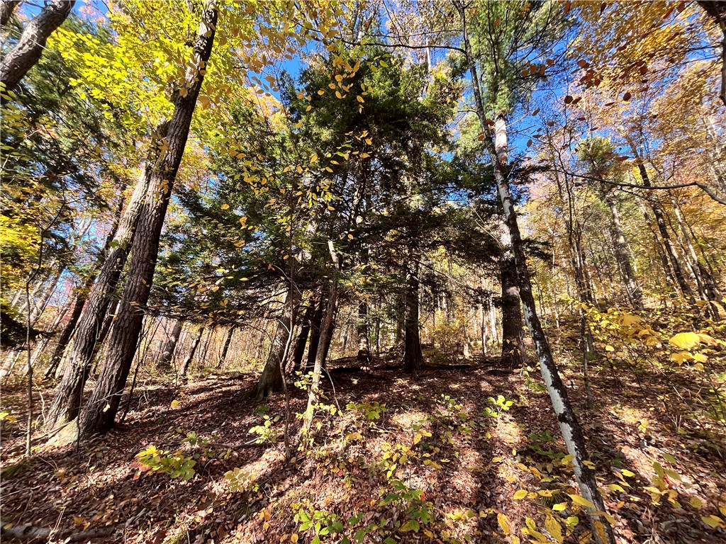 34 State Route Lockwood, NY 14859 - Photo 14 of 43