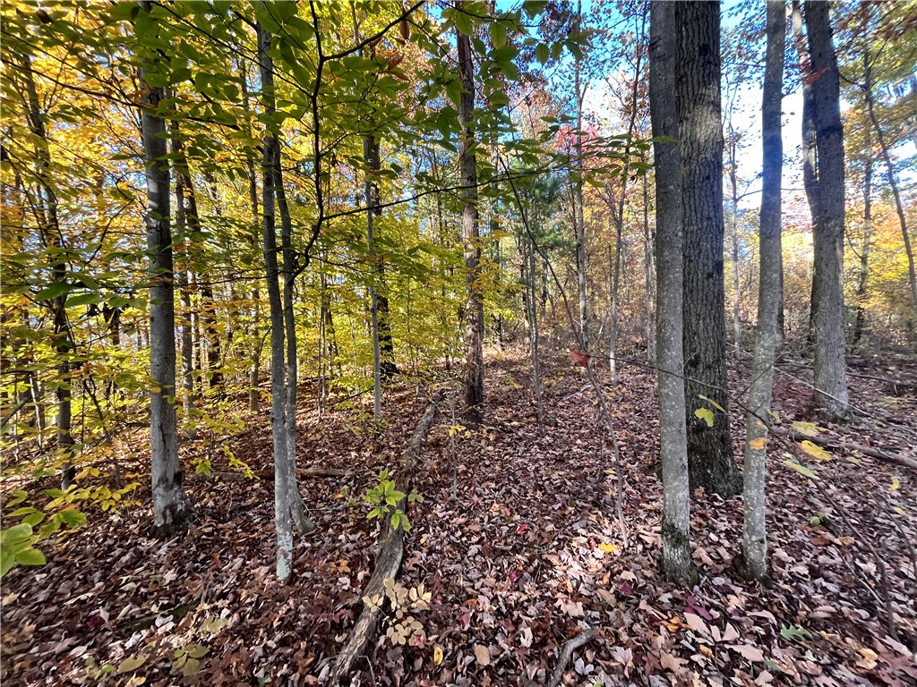 34 State Route Lockwood, NY 14859 - Photo 16 of 43