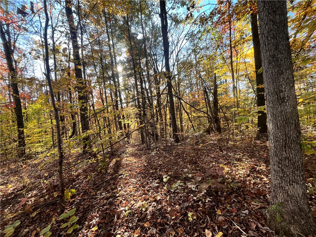 34 State Route Lockwood, NY 14859 - Photo 17 of 43