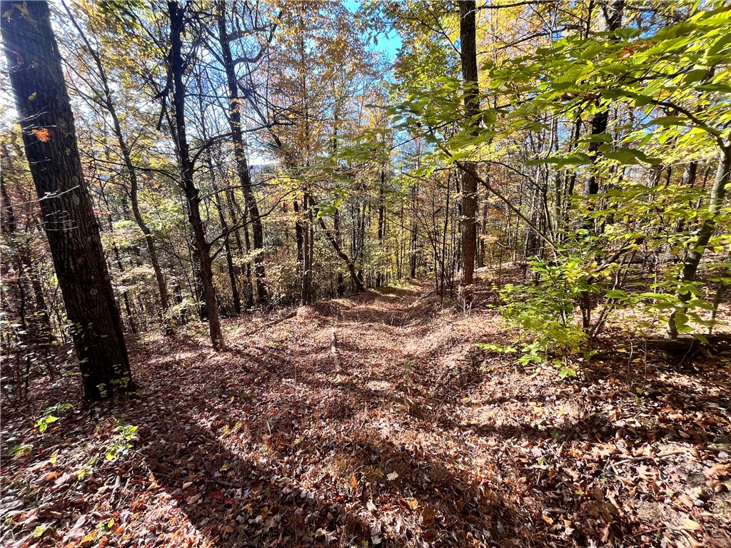 34 State Route Lockwood, NY 14859 - Photo 18 of 43