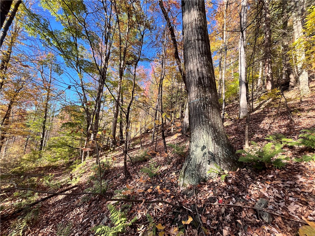 34 State Route Lockwood, NY 14859 - Photo 20 of 43